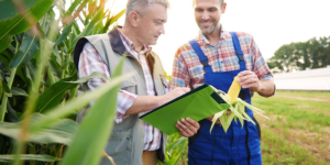 Placeholder Image Placeholder Image