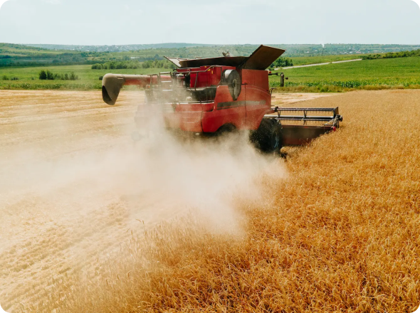 capa produto calcario